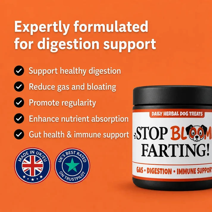 Stop Blooming Farting Treats Chicken Flavour