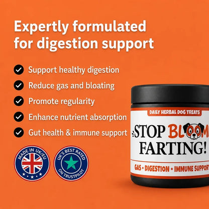 Stop Blooming Farting Treats Chicken Flavour