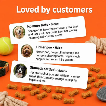 Stop Blooming Farting Treats Chicken Flavour