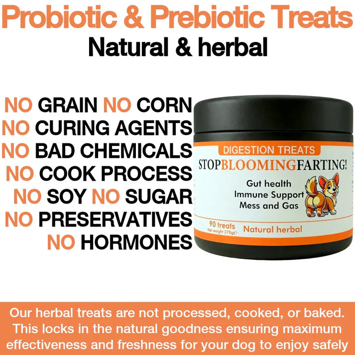 Stop Blooming Farting Treats Chicken Flavour 90 Tablets