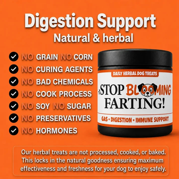 Stop Blooming Farting Treats Chicken Flavour