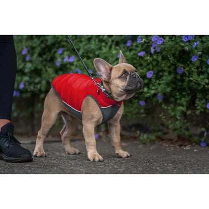 Puffer Jacket Red/Orange