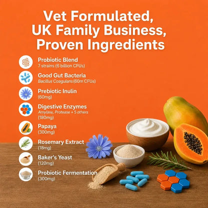 Stop Blooming Farting Treats Chicken Flavour