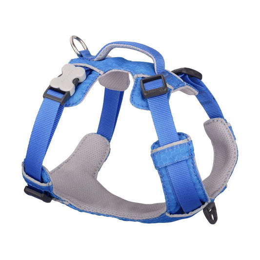 Sport Harness Electric Blue