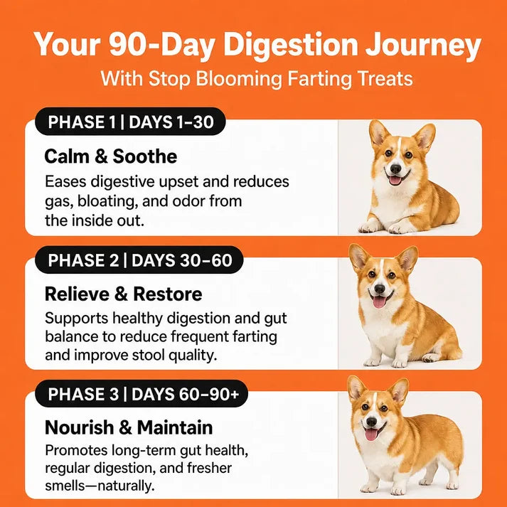 Stop Blooming Farting Treats Chicken Flavour