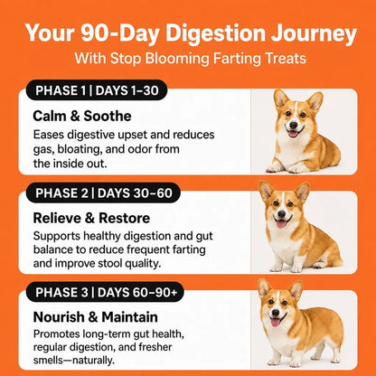 Stop Blooming Farting Treats Chicken Flavour