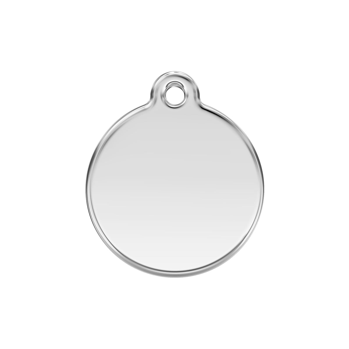 Blank stainless-steel tag reverse